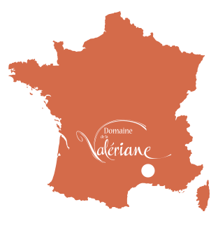001_carte