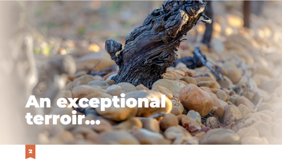 02_unterroirdexception