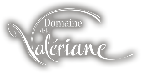 valeriane_logoint